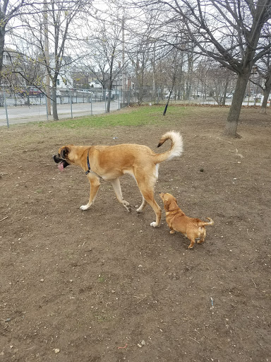 Dog Park «Waterman St. Dog Park», reviews and photos, 320 Waterman St, Providence, RI 02906, USA