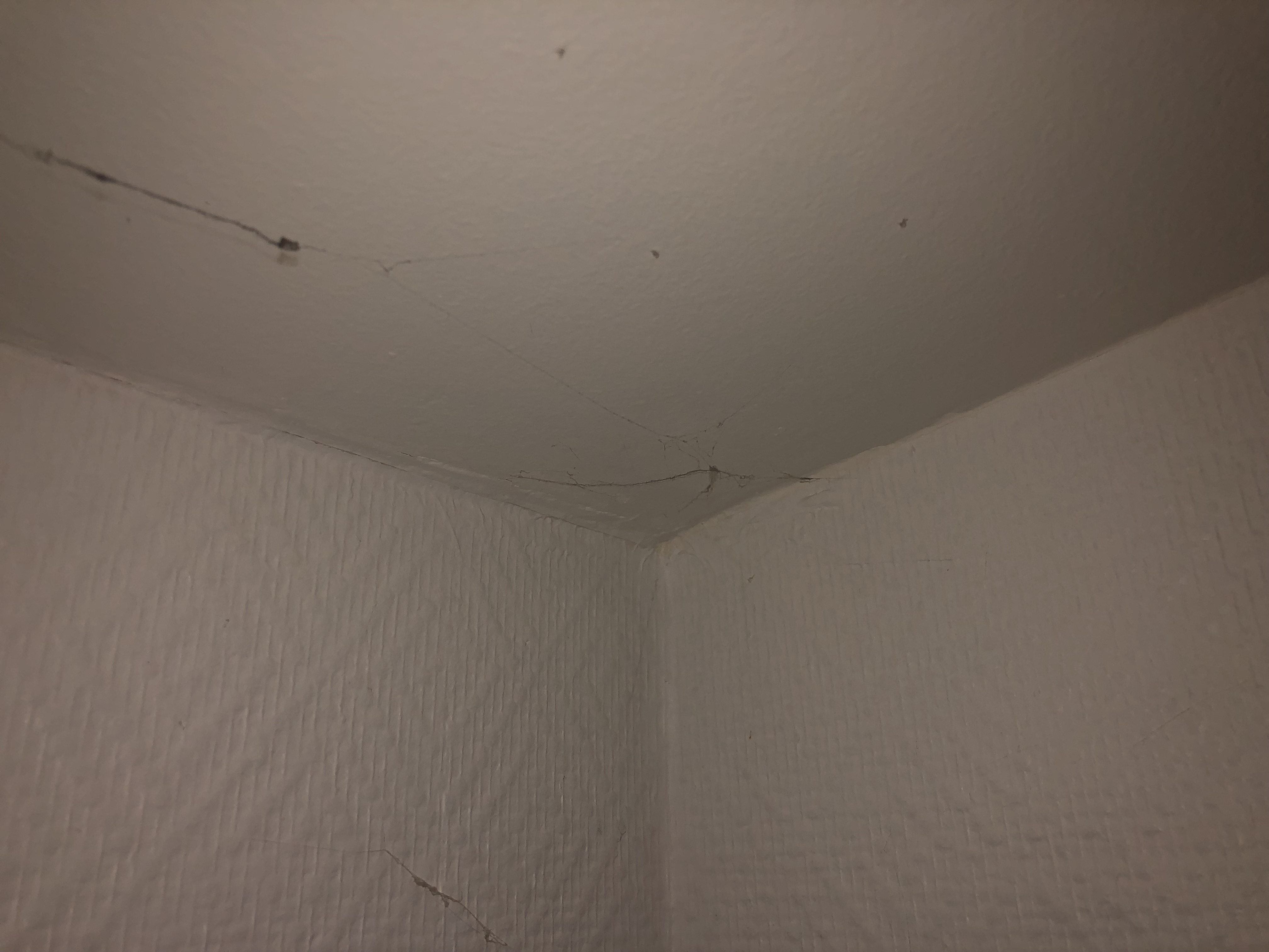 Photo n° 4 de l'avis de bruno.a fait le 17/09/2022 à 19:25