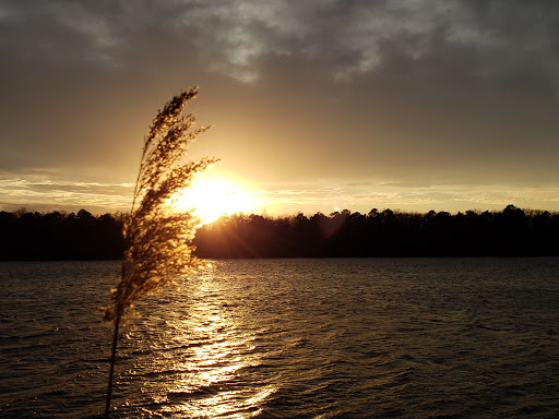 Park «Malaga Lake Park», reviews and photos, 445 Malaga Park Dr, Malaga, NJ 08328, USA