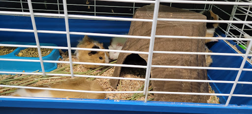 Animal Feed Store «All Pet Feed & Tack», reviews and photos, 25598 E Baseline St, San Bernardino, CA 92410, USA