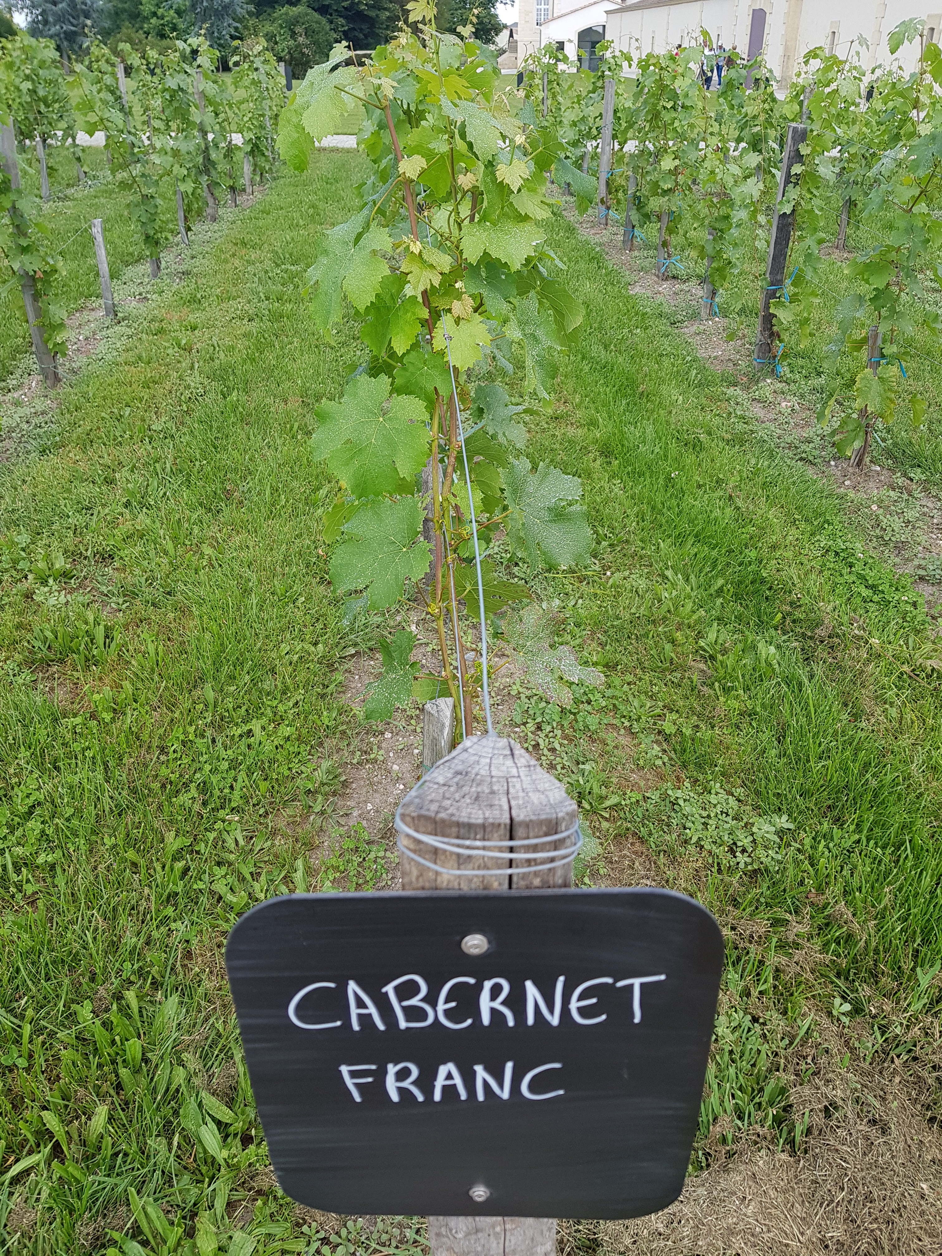Photo n° 9 de l'avis de Richard.l fait le 22/06/2018 à 04:13
