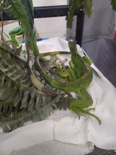 Event Venue «Lamar Dixon Expo Center», reviews and photos, 9039 S St Landry Ave, Gonzales, LA 70737, USA