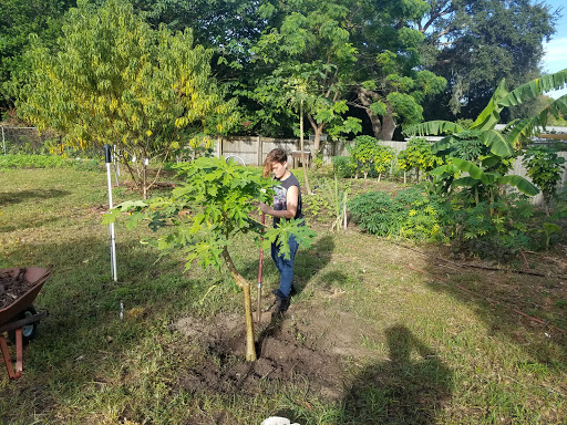 Non-Profit Organization «West Pasco Habitat for Humanity ReStore», reviews and photos, 4131 Madison St, New Port Richey, FL 34652, USA