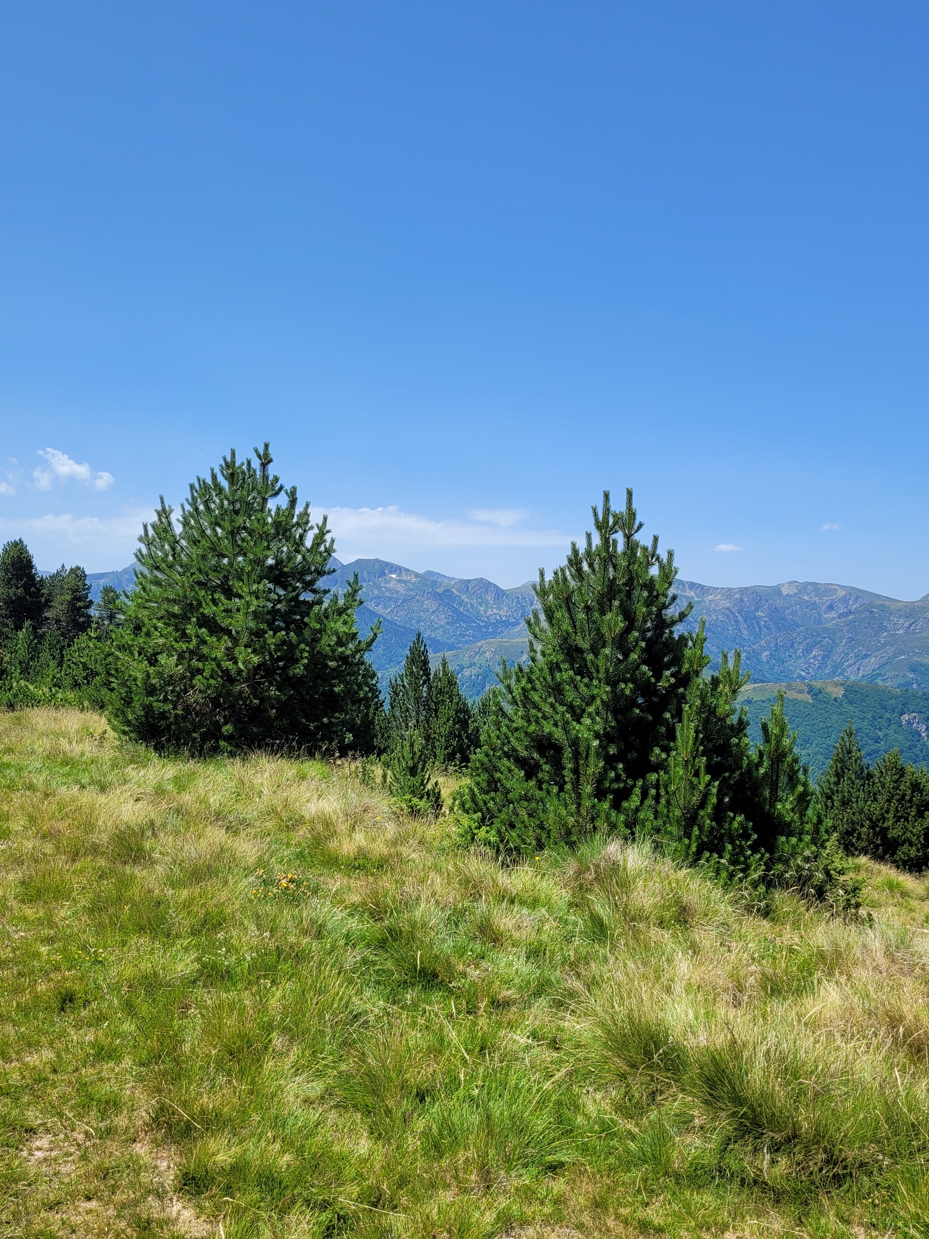 Photo n° 3 de l'avis de Françoise.e fait le 09/07/2022 à 14:42