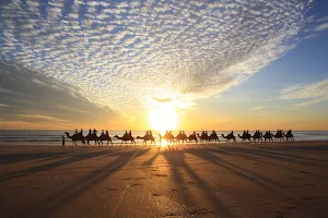 Red Sun Camels image