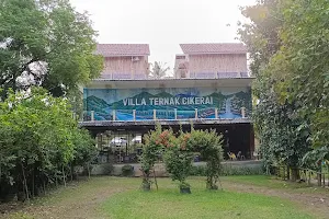 Villa Ternak Cikerai image
