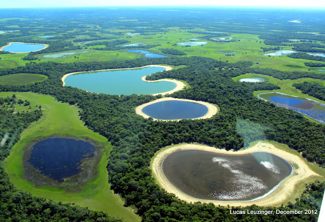 Brazil Nature Tours