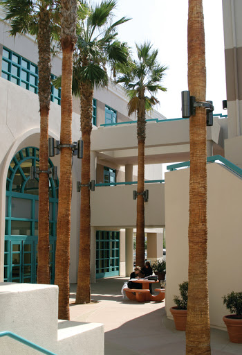 Faculty of psychology Glendale