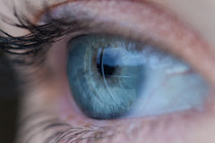 Inner Harbour Optometry- SHARMA Eyecare