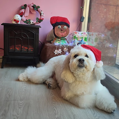 Imagen de Quissos & Rock Peluquería Canina y Felina