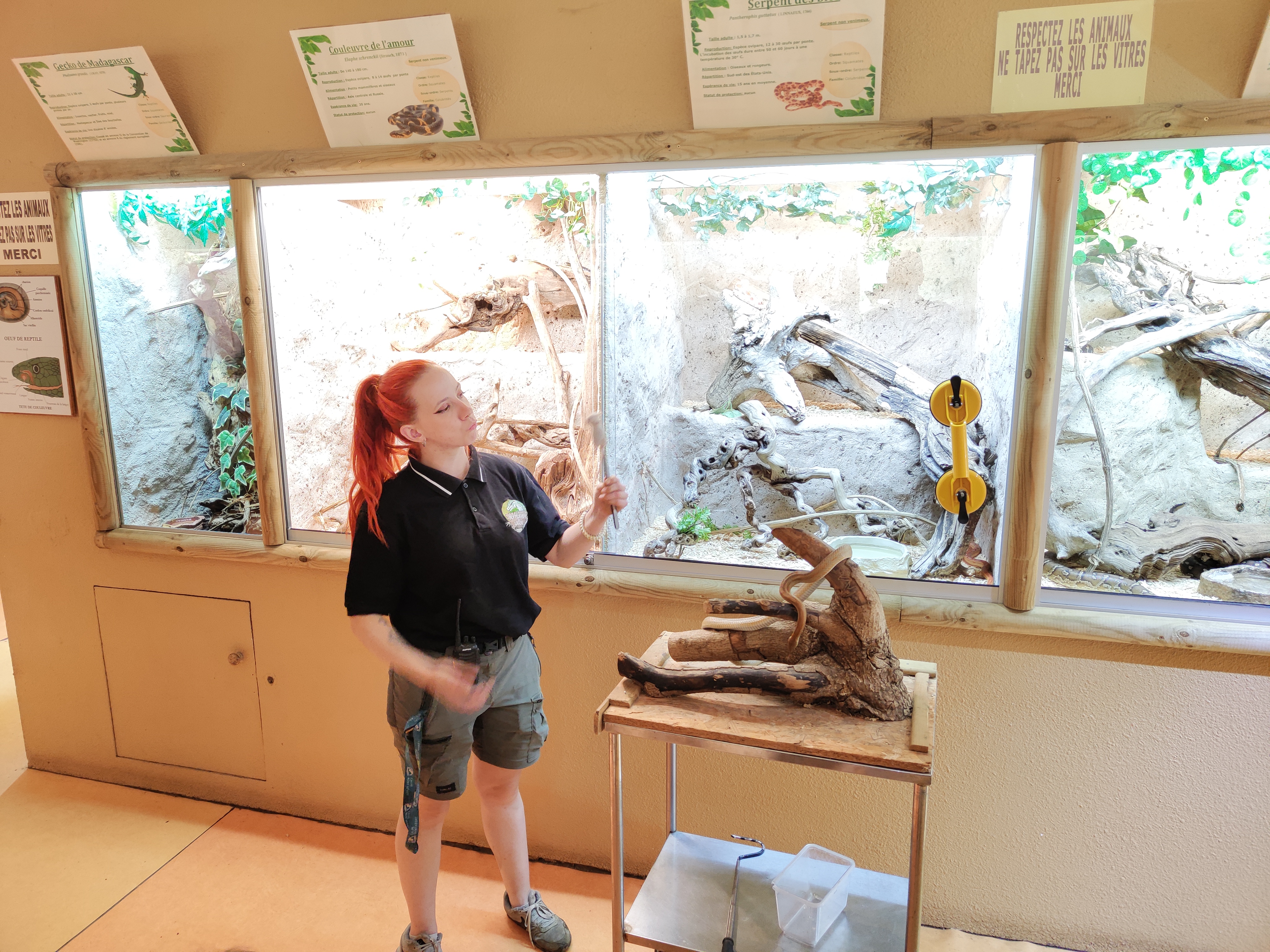 Photo n° 5 de l'avis de Sébastien.o fait le 03/09/2022 à 19:11