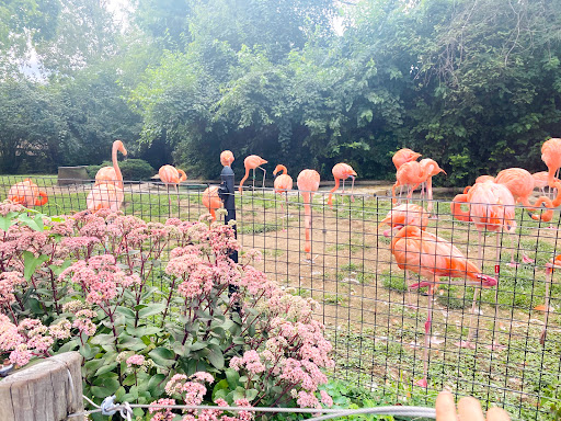 Water Park «Zoombezi Bay», reviews and photos, 10101 Riverside Dr, Powell, OH 43065, USA