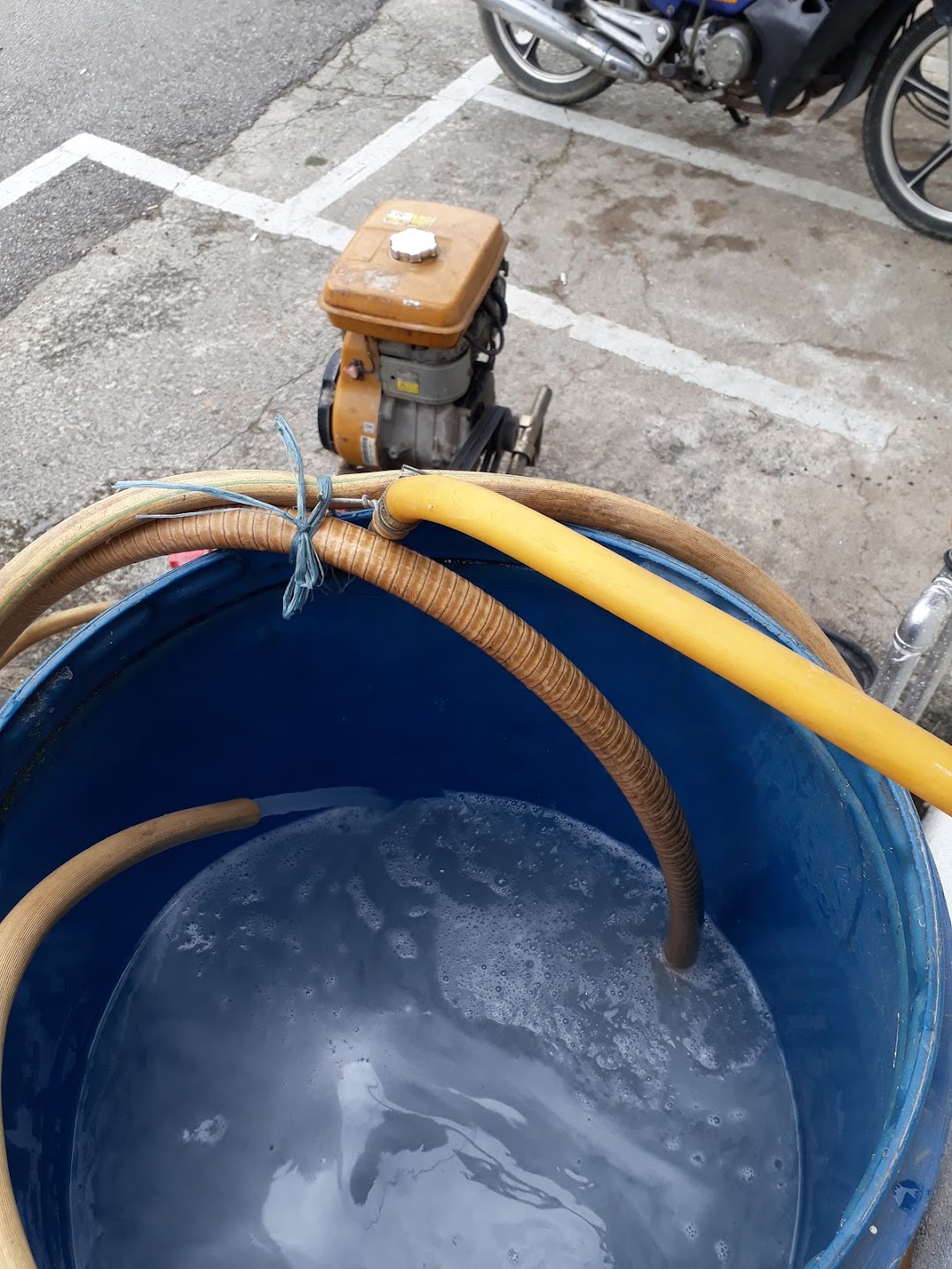 Pest Control, Sunlight Pest Control Seremban di bandar Seremban