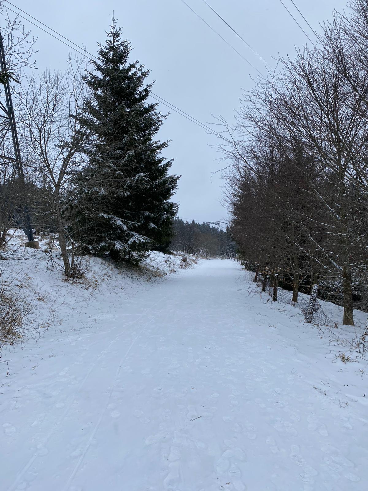 Photo n° 2 de l'avis de Michaël.u fait le 27/02/2023 à 14:36