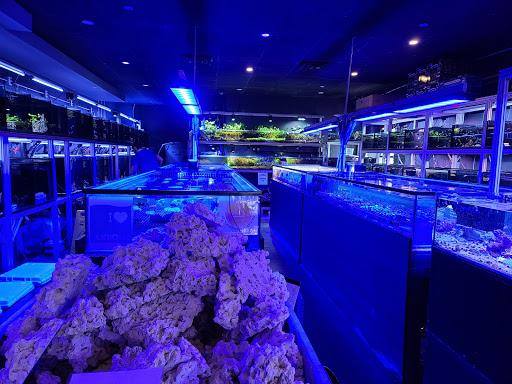 Tropical Fish Store «Manhattan Aquariums», reviews and photos, 522 W 37th St, New York, NY 10018, USA