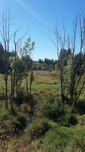 Park «Hillsboro parks and Recreation», reviews and photos, 300 NE 53rd Ave, Hillsboro, OR 97124, USA