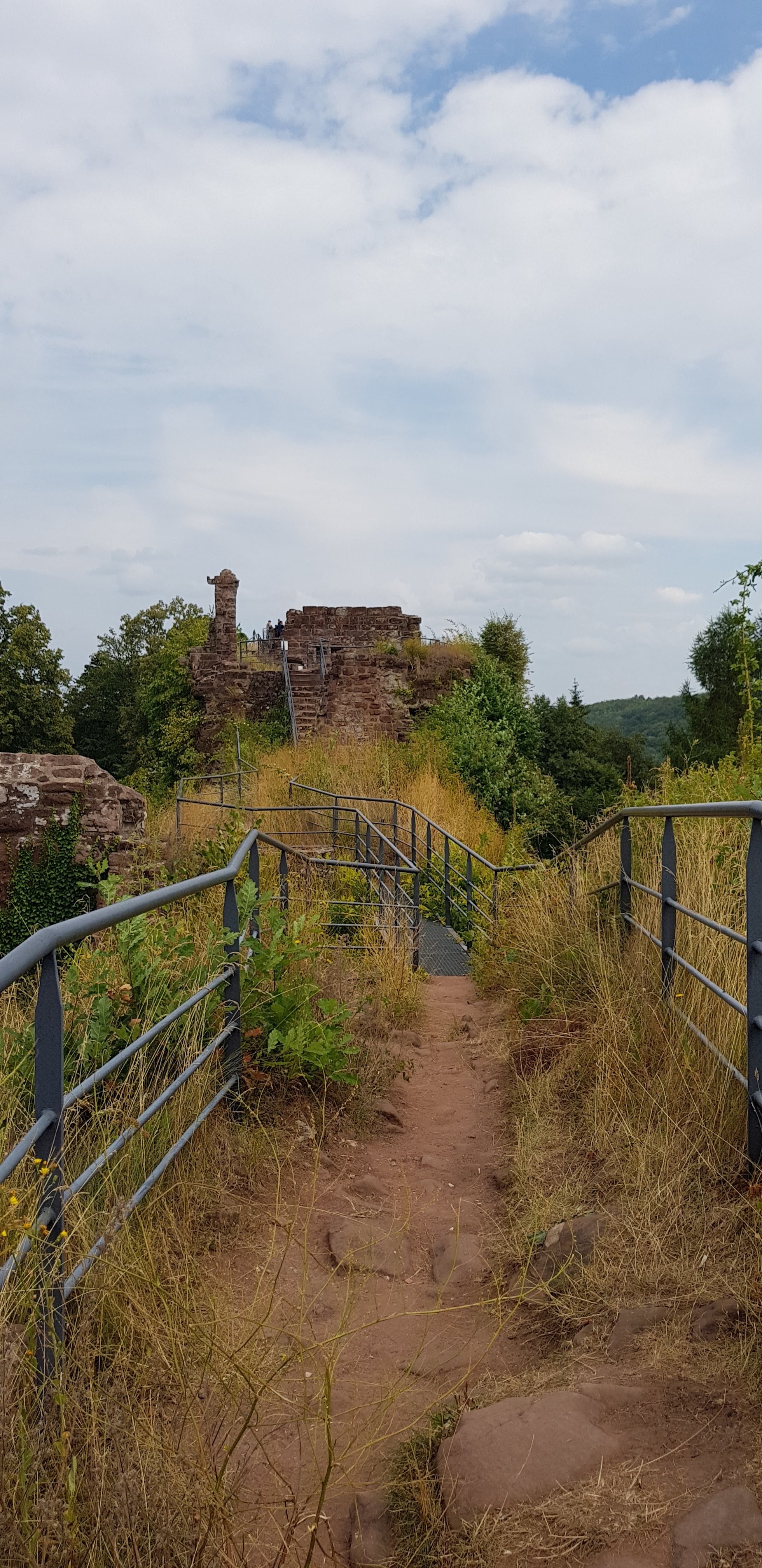 Photo n° 1 de l'avis de Mikael.e fait le 31/07/2018 à 06:03