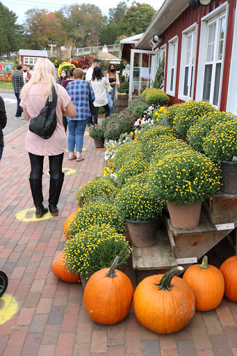 Farm «Alstede Farms», reviews and photos, 1 Alstede Farms Ln, Chester, NJ 07930, USA