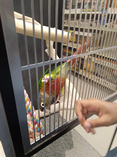 Pet Supply Store «PetSmart», reviews and photos, 3630 Peachtree Pkwy, Suwanee, GA 30024, USA