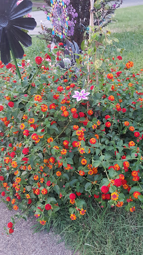 Produce Market «Parkway Produce», reviews and photos, 2601 Preston Hwy, Louisville, KY 40217, USA