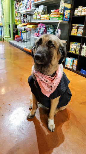 Pet Store «Downtown Pawz», reviews and photos, 1623 Main St #106, Dallas, TX 75201, USA