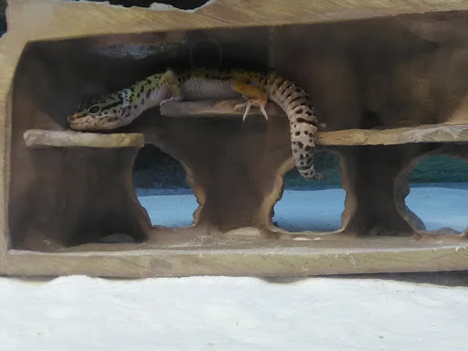 Pet Supply Store «Petco Animal Supplies», reviews and photos, 377 W Jackson St #11, Cookeville, TN 38501, USA