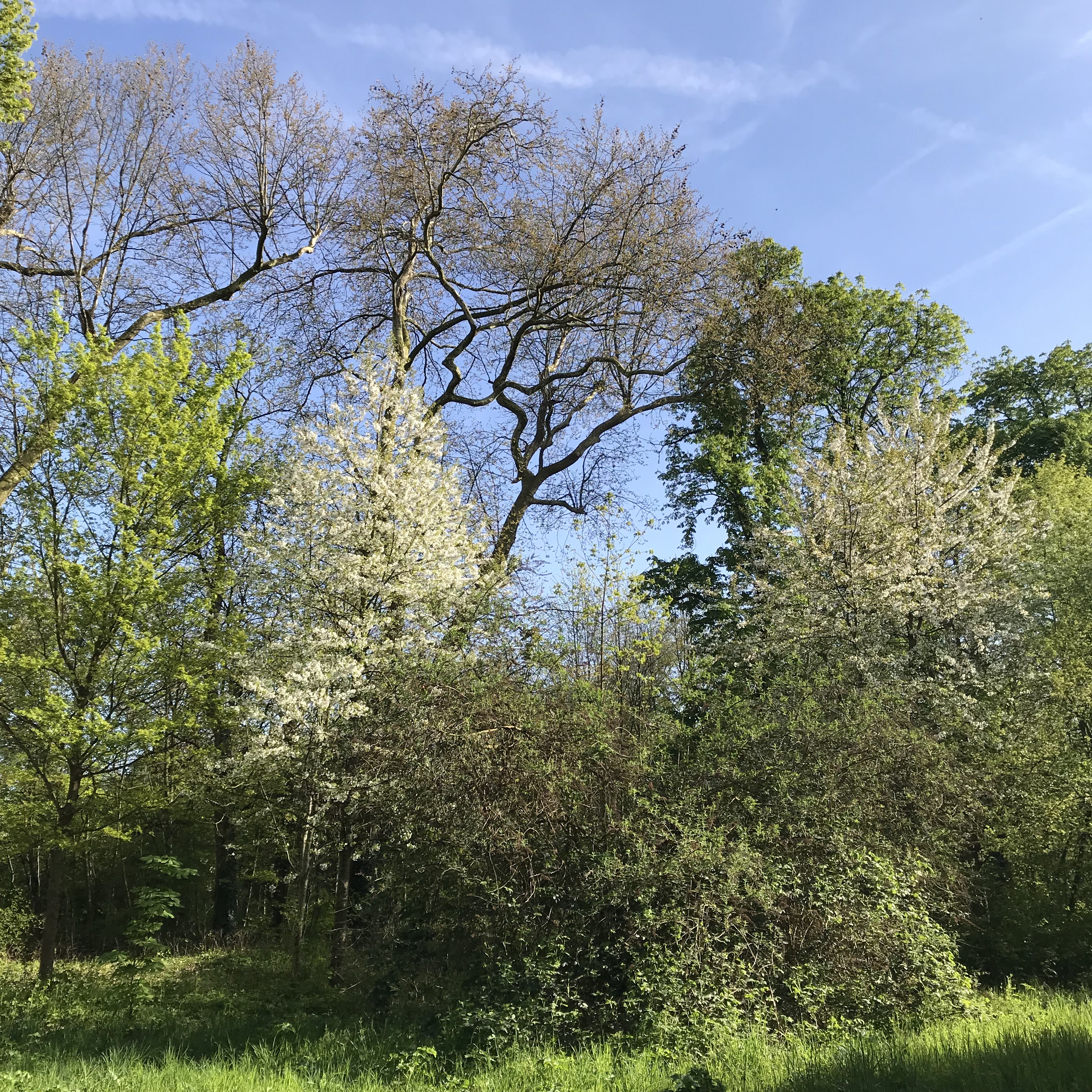 Photo n° 7 de l'avis de Franck.a fait le 02/05/2018 à 05:52