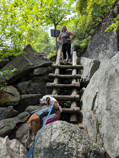 Tourist Attraction «Ice Caves», reviews and photos, Sams Point Rd, Pine Bush, NY 12566, USA