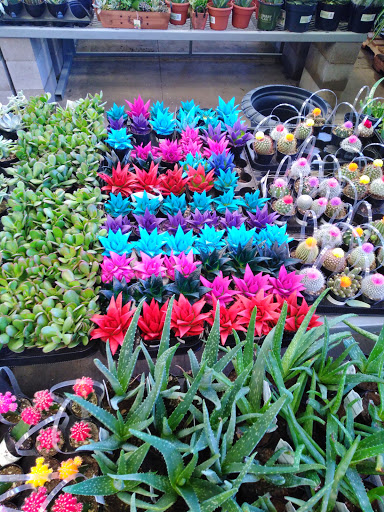 Home Improvement Store «The Home Depot», reviews and photos, 6850 S Fry Rd, Katy, TX 77494, USA