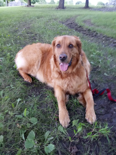 Pet Supply Store «Pet Supplies Plus», reviews and photos, 4505 S 76th St, Greenfield, WI 53220, USA