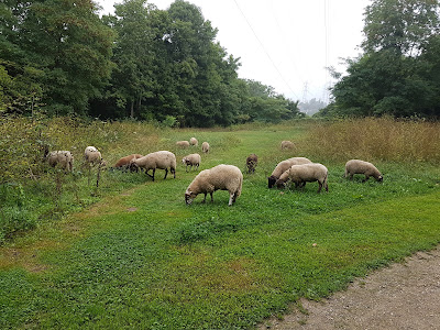 Domaine Régional de la Butte Pinson à Montmagny