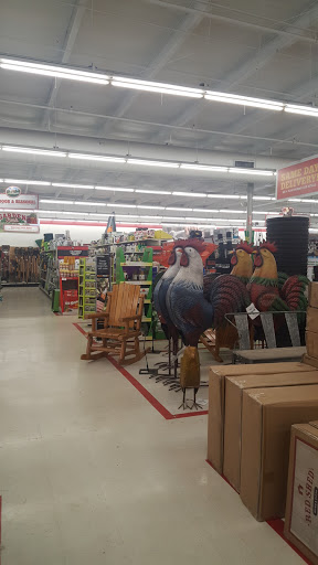 Home Improvement Store «Tractor Supply Co.», reviews and photos, 135 John R Rice Blvd, Murfreesboro, TN 37129, USA