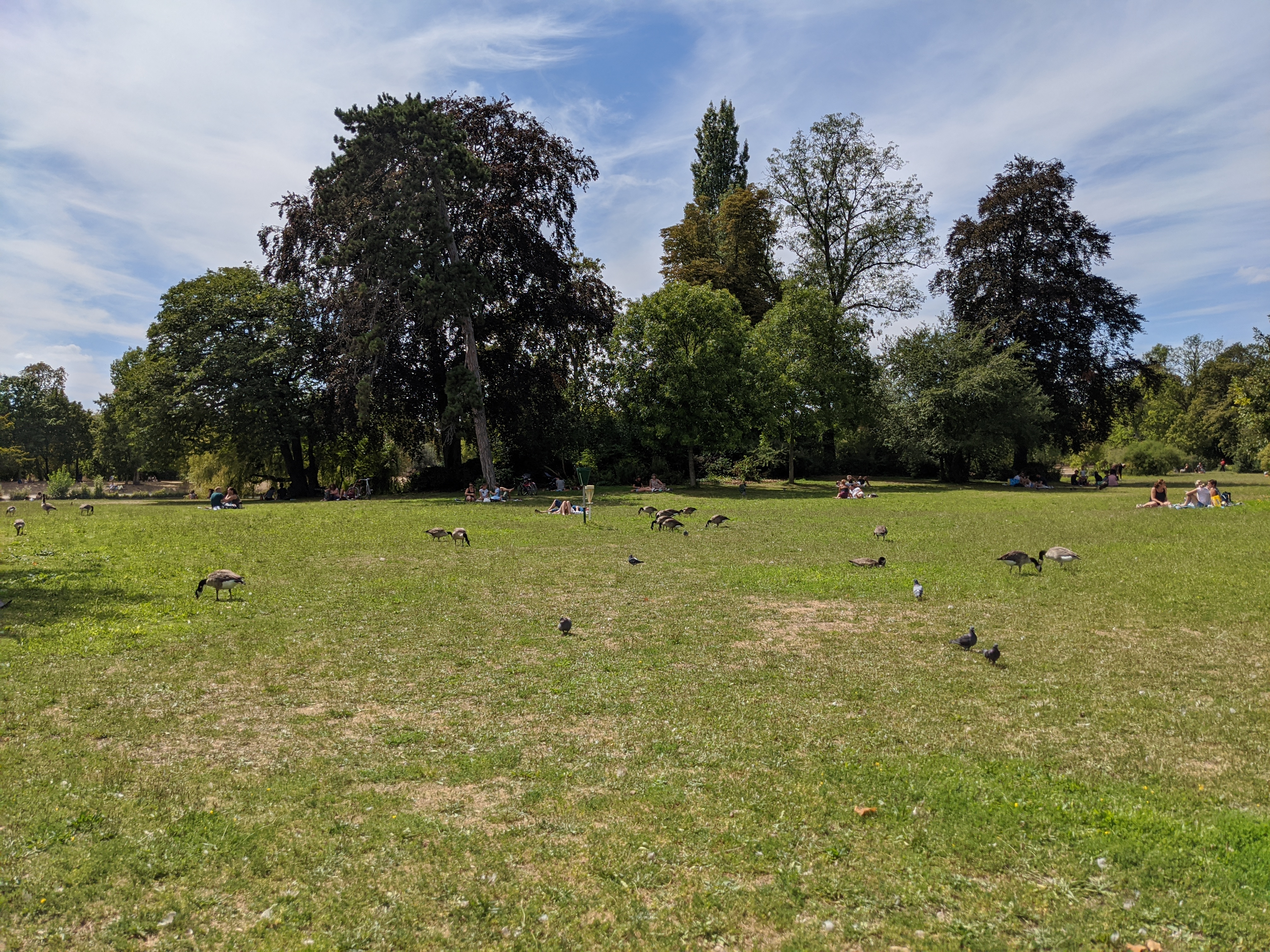 Photo n° 7 de l'avis de Ido.a fait le 02/08/2020 à 14:34