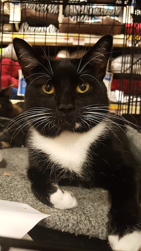 Pet Supply Store «PetSmart», reviews and photos, 1512 S Randall Rd, Geneva, IL 60134, USA