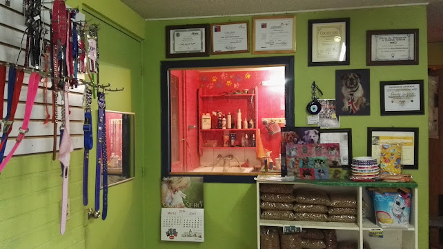 Opiniones de PerRock's Perruqueria Y Pet Shop en Peñaflor - Peluquería