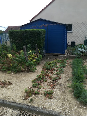 Beuriat Pierre à Beaune