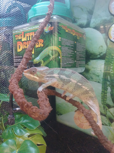 Pet Supply Store «Petco Animal Supplies», reviews and photos, 1704 US Hwy 27 S, Sebring, FL 33870, USA