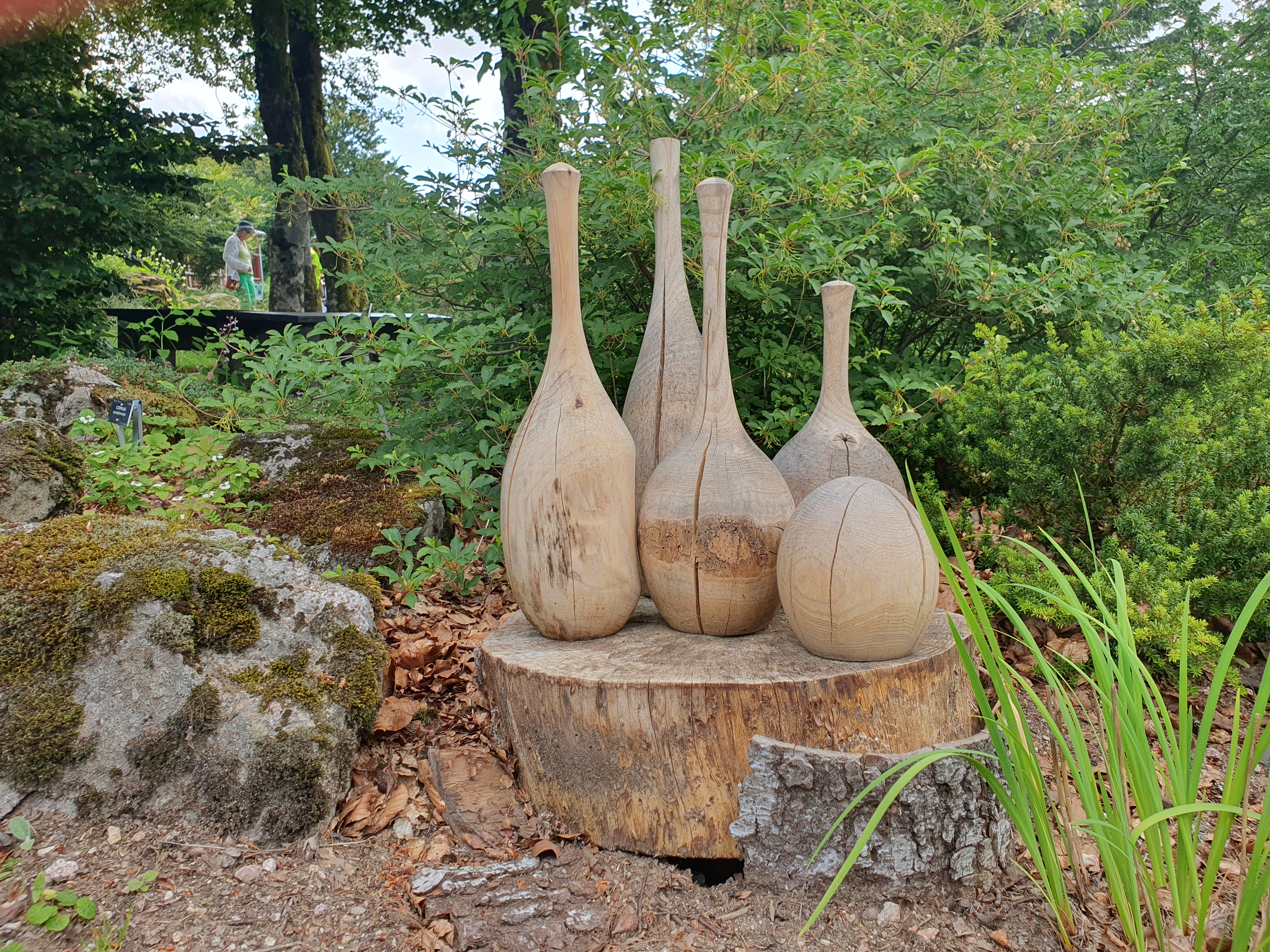 Photo n° 13 de l'avis de SYLVIE.A fait le 29/06/2023 à 20:48