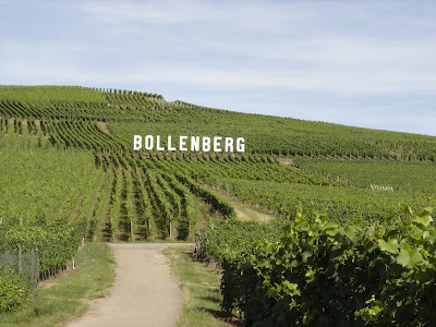 VINS BIOLOGIQUE ALBRECHT ERNST RENE ET FILS à Orschwihr