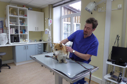 Dr. med. Vet. Andre Synilo unter Feldkirchen, Bayern