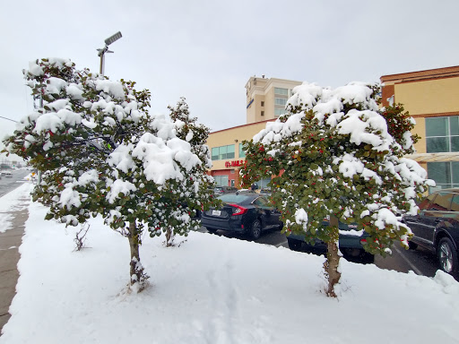 Shopping Mall «Carrollton Shopping Center», reviews and photos, 8474 Annapolis Rd, New Carrollton, MD 20784, USA