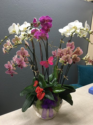 Florist «La Floriya», reviews and photos, 6170 Bollinger Rd, San Jose, CA 95130, USA