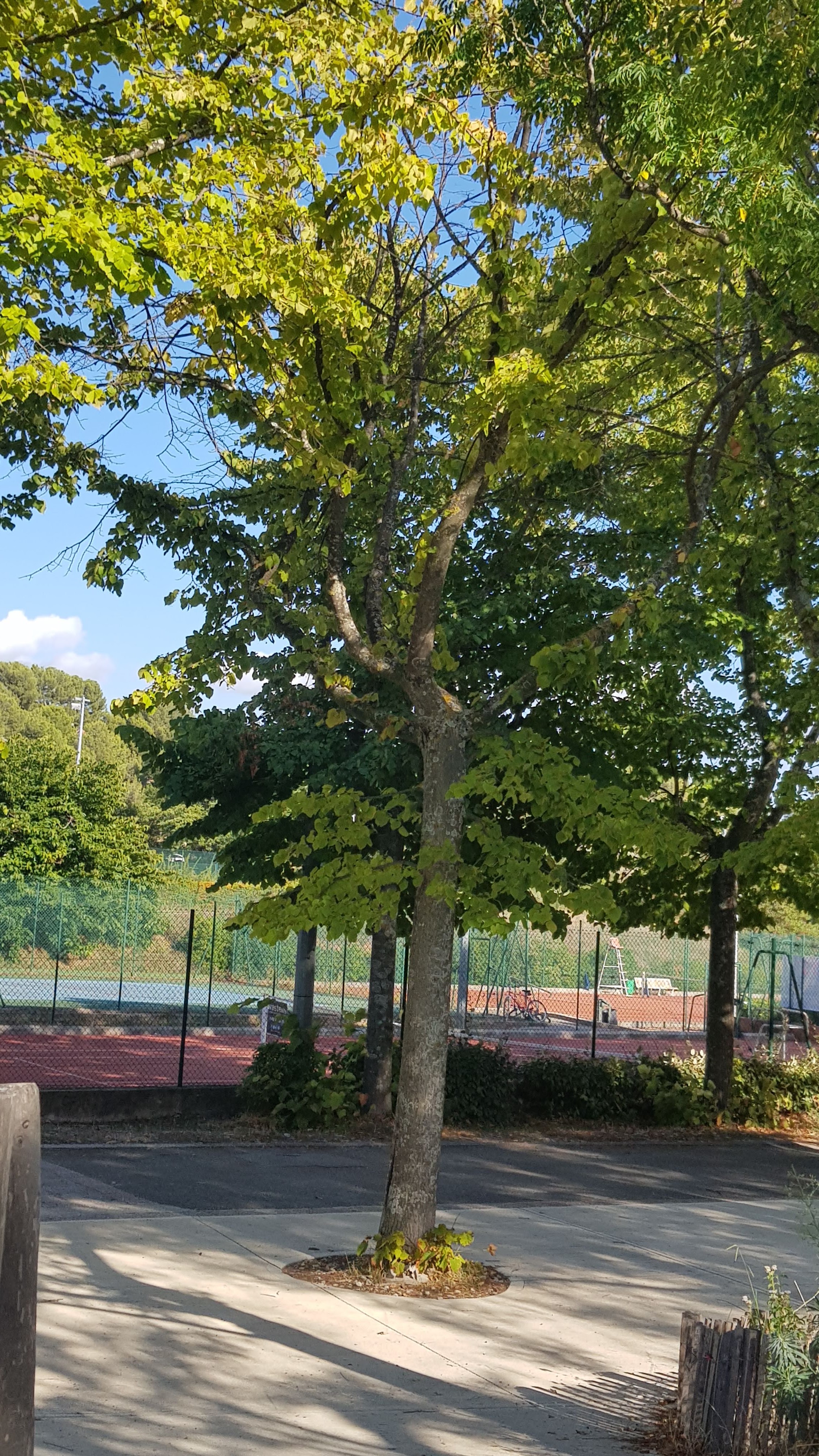 Photo n° 2 de l'avis de Zazou.a fait le 23/10/2018 à 13:00