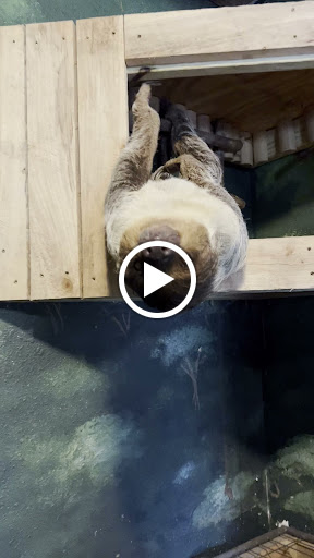 Tourist Attraction «Barn Hill Preserve», reviews and photos, 11370 LA-955, Ethel, LA 70730, USA