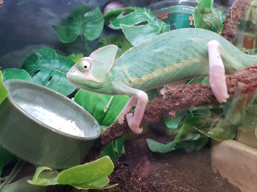 Pet Supply Store «Petco Animal Supplies», reviews and photos, 2005 W 8 Mile Rd, Detroit, MI 48203, USA