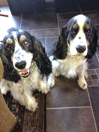 Toy Store «Kidstop», reviews and photos, 6990 E Shea Blvd #103, Scottsdale, AZ 85254, USA