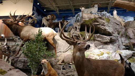 Outdoor Sports Store «Field & Stream», reviews and photos, 2075 Interchange Rd, Erie, PA 16509, USA