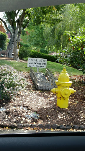 Grocery Store «Safeway», reviews and photos, 1550 N Pacific Hwy, Woodburn, OR 97071, USA