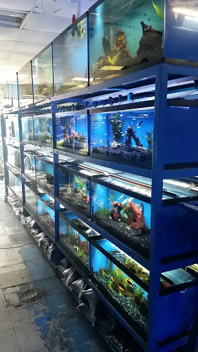 Pet Store «Fish 4 U», reviews and photos, 4010 Highland Dr #1, Millcreek, UT 84124, USA