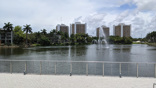 Book Store «University of Miami Bookstore», reviews and photos, 1306 Stanford Dr, Coral Gables, FL 33146, USA